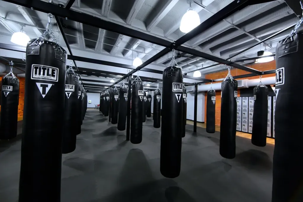 Boxing training facility with rows of Title heavy bags and pendant lighting